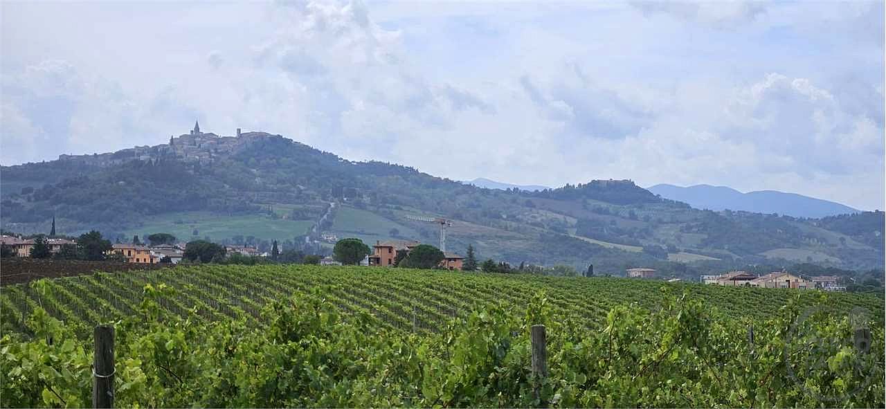 TODI - CASALE CON TERRENO