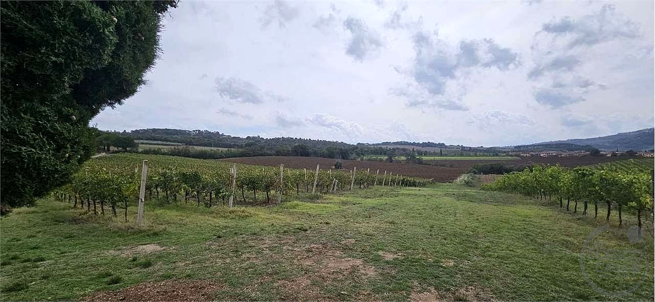 TODI - CASALE CON TERRENO