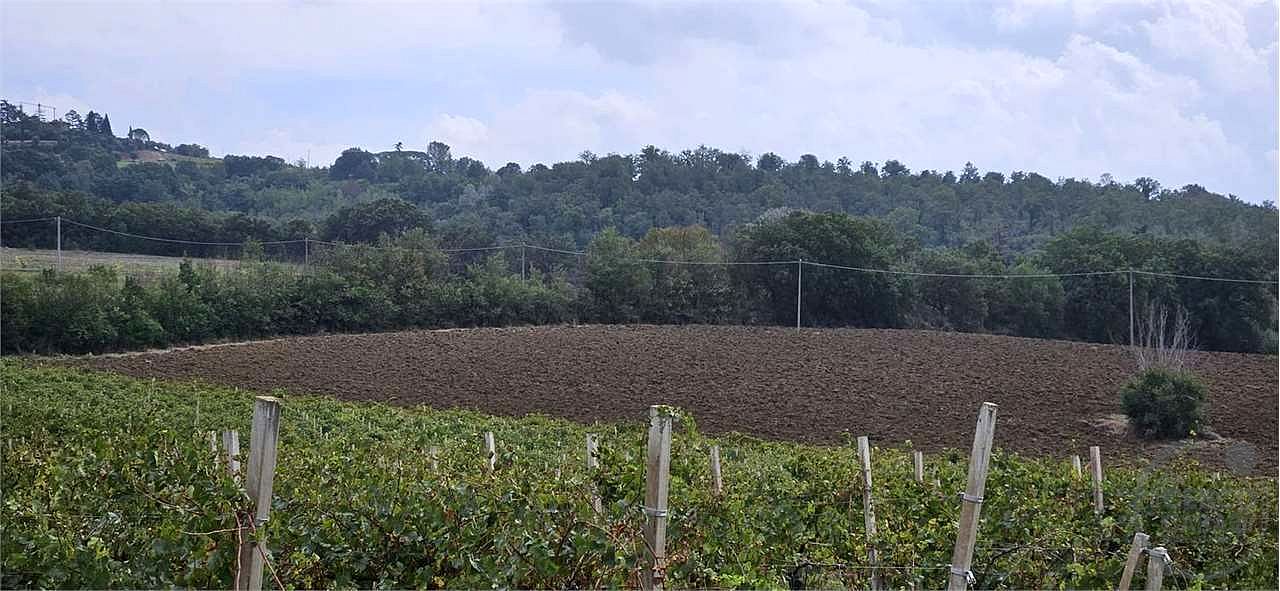 TODI - CASALE CON TERRENO