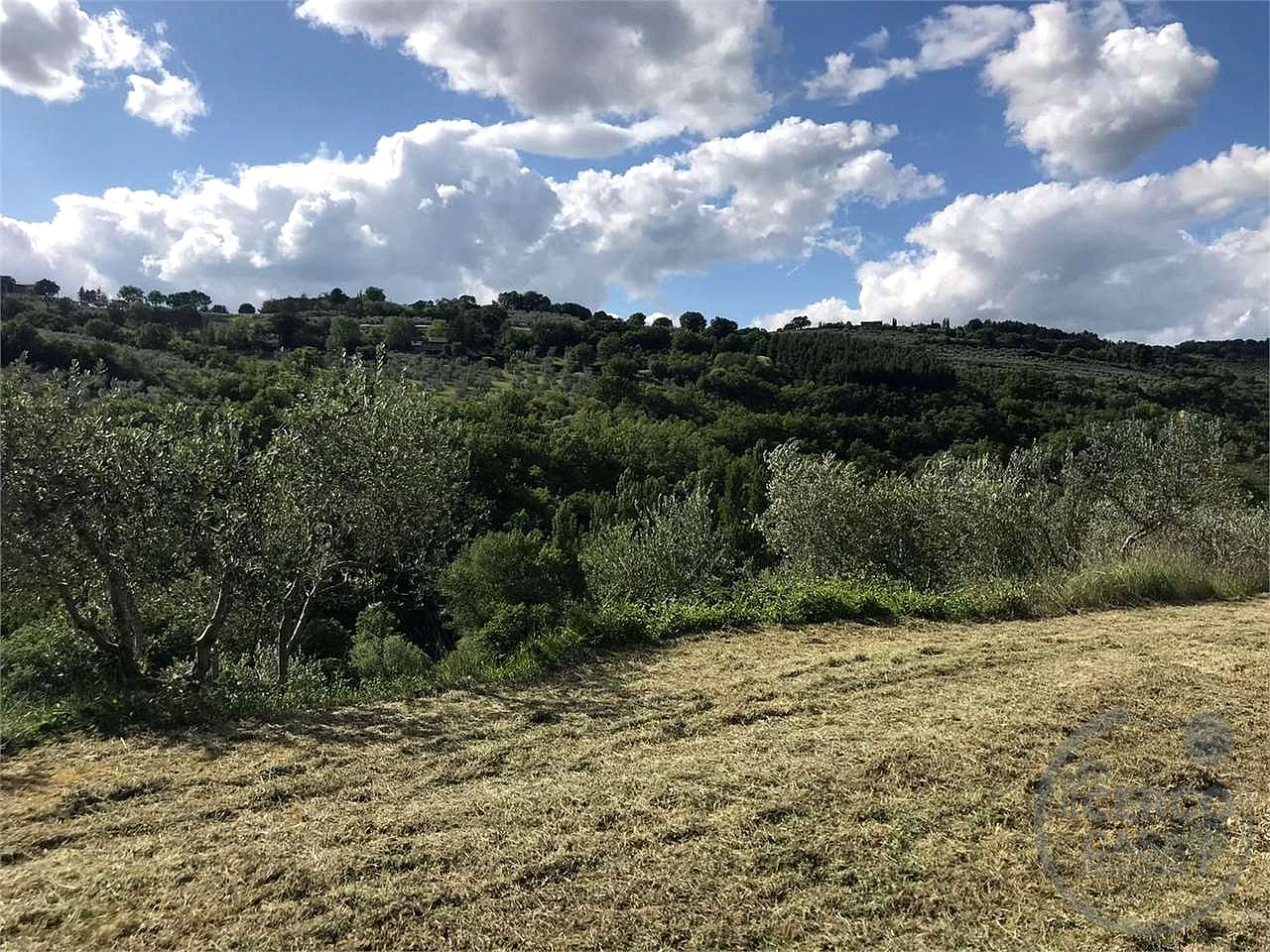 ASSISI - TORDIBETTO: TERRENO AGRICOLO