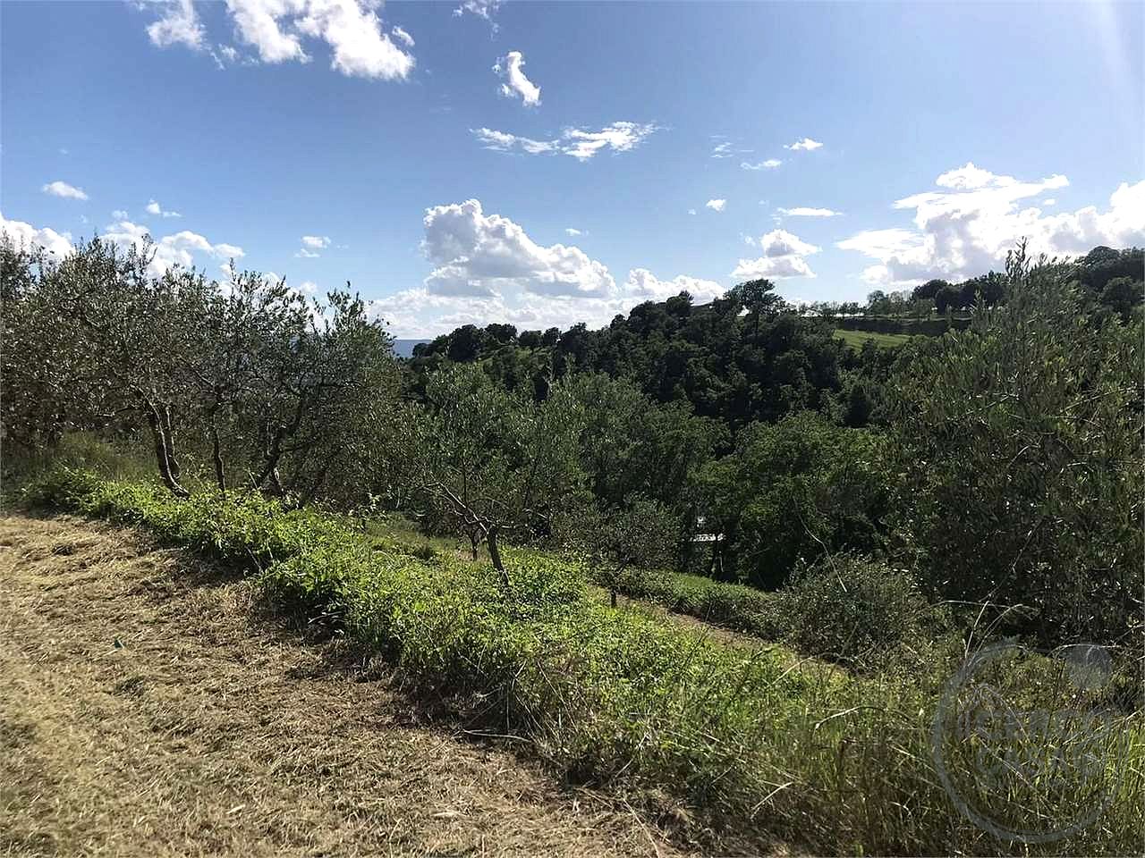 ASSISI - TORDIBETTO: TERRENO AGRICOLO