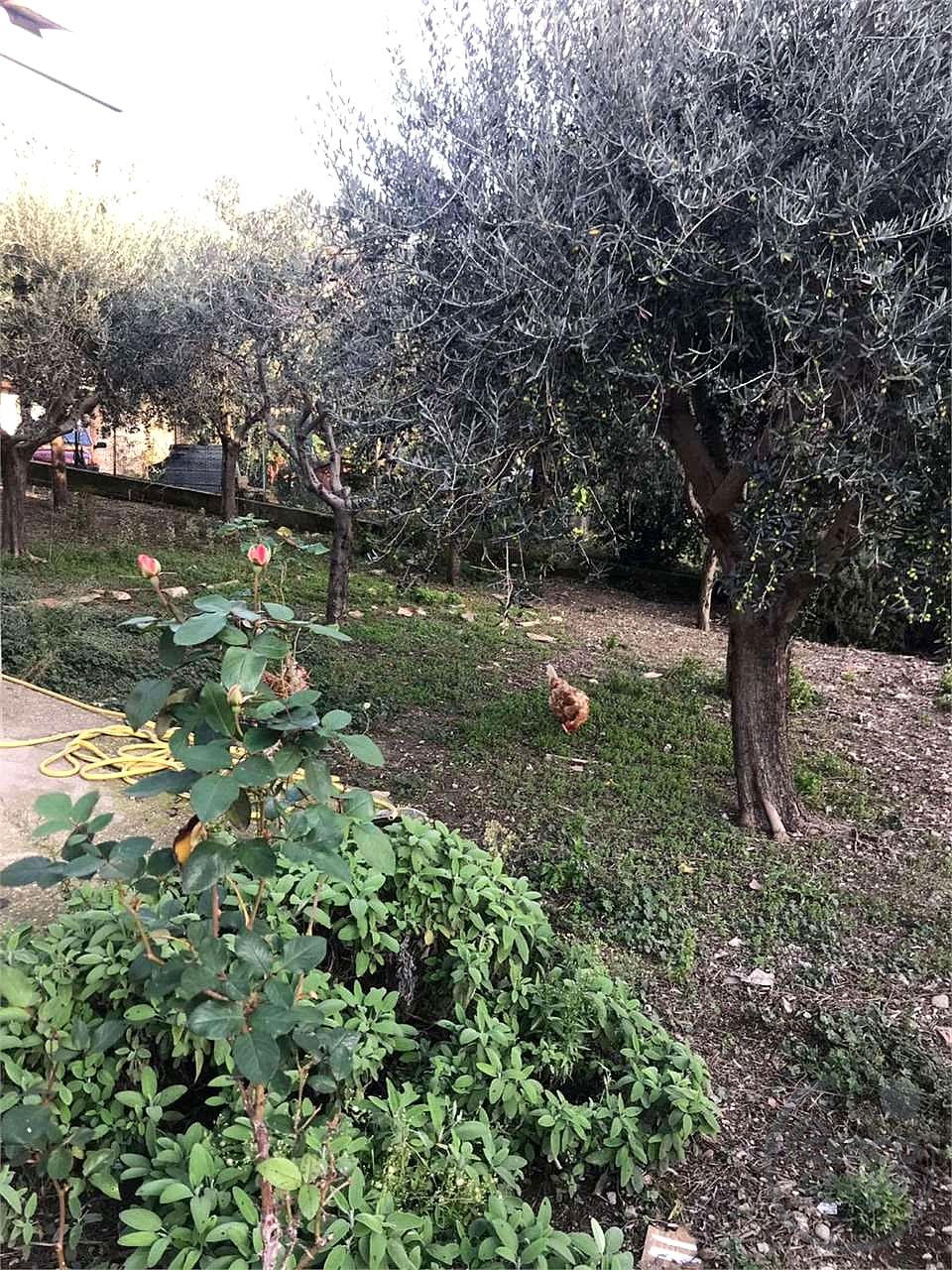 ASSISI - COMPLESSO IMMOBILIARE