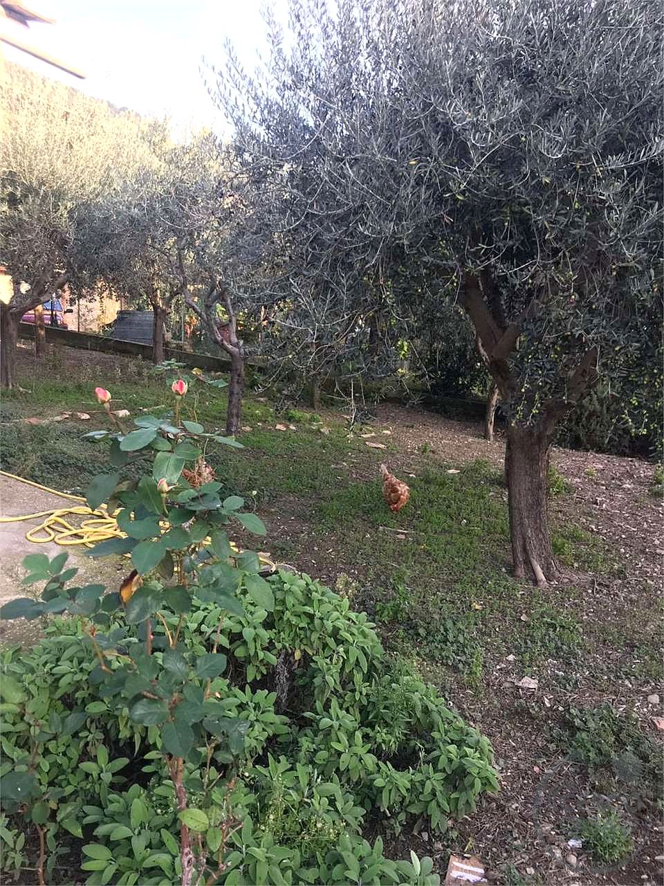 ASSISI - COMPLESSO IMMOBILIARE