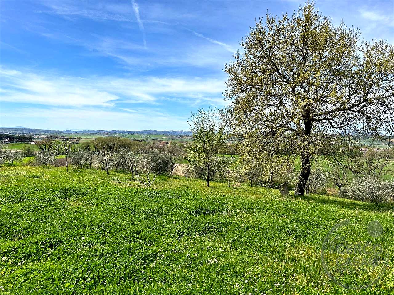 ASSISI - CASALE CON TERRENO