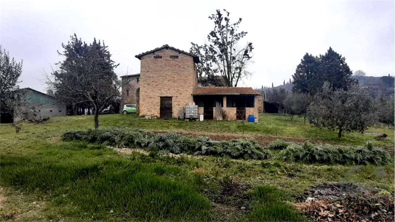 ASSISI - CASALE CON TERRENO