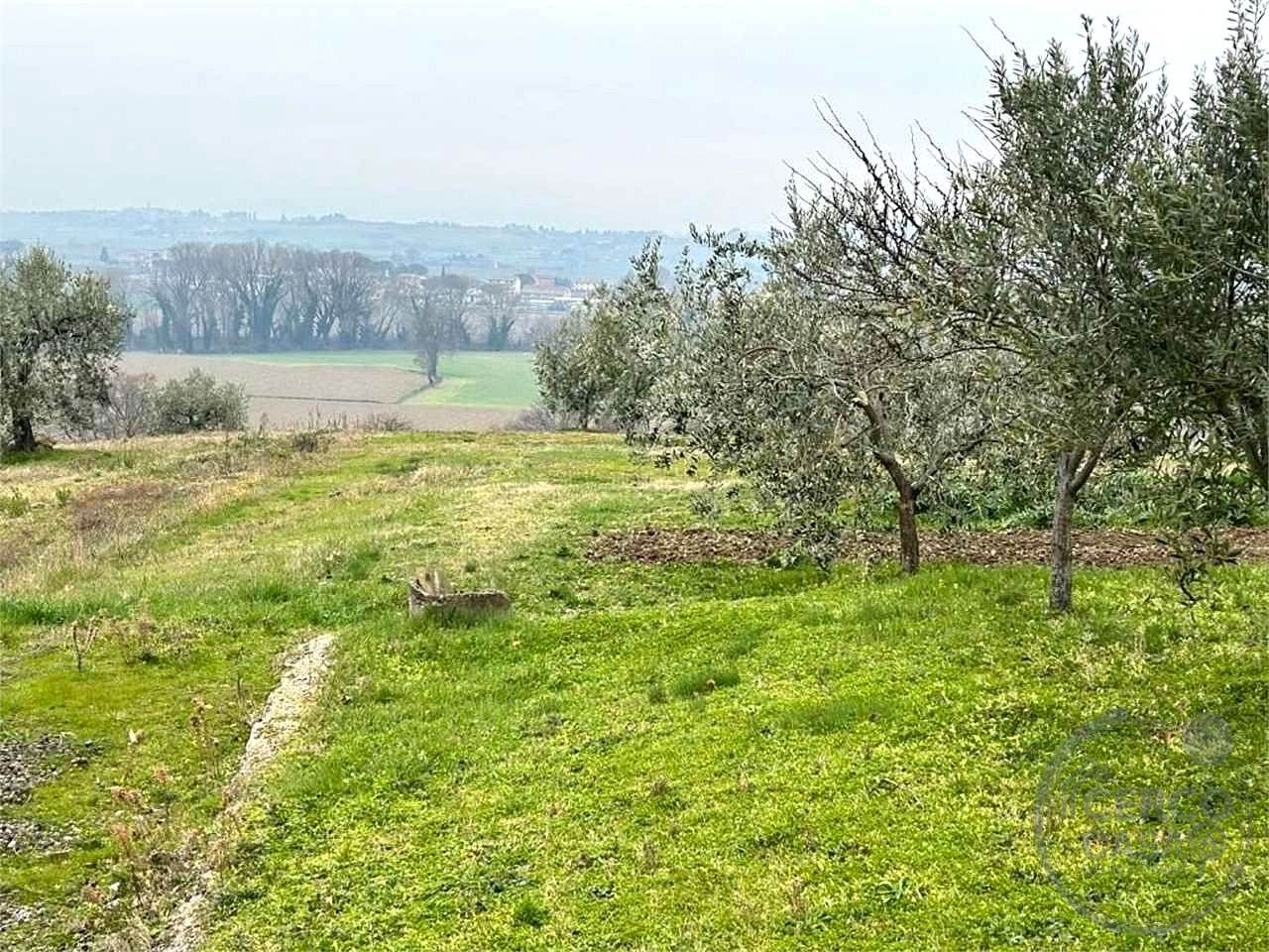 ASSISI - CASALE CON TERRENO