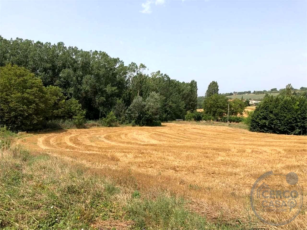 TODI - TERRENO EDIFICABILE