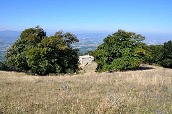 ANTICA PIEVE RISTRUTTURATA CON TERRENO