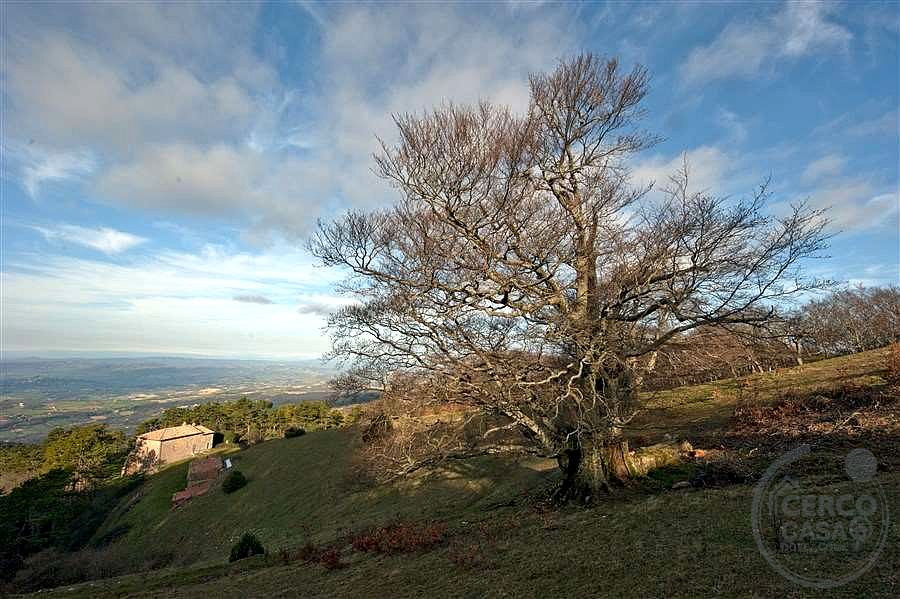 ANTICA PIEVE RISTRUTTURATA CON TERRENO