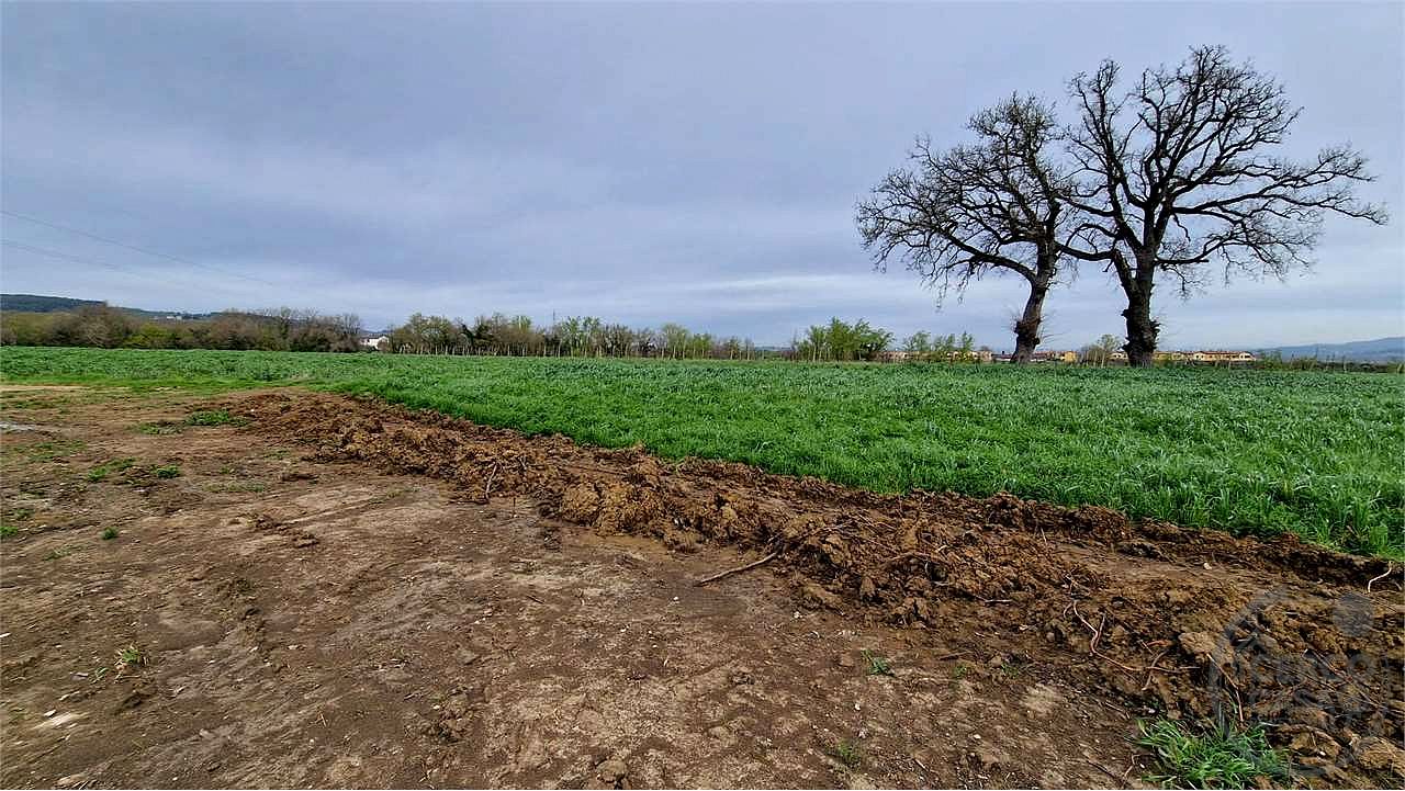 CASALE DA RISTRUTTURARE CON TERRENO