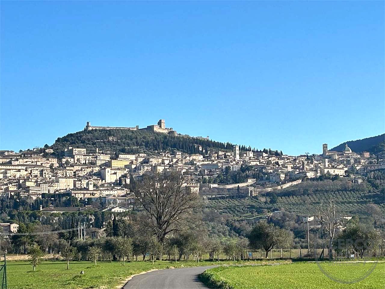 ASSISI - S. M. DEGLI ANGELI:TERRENO AGRICOLO