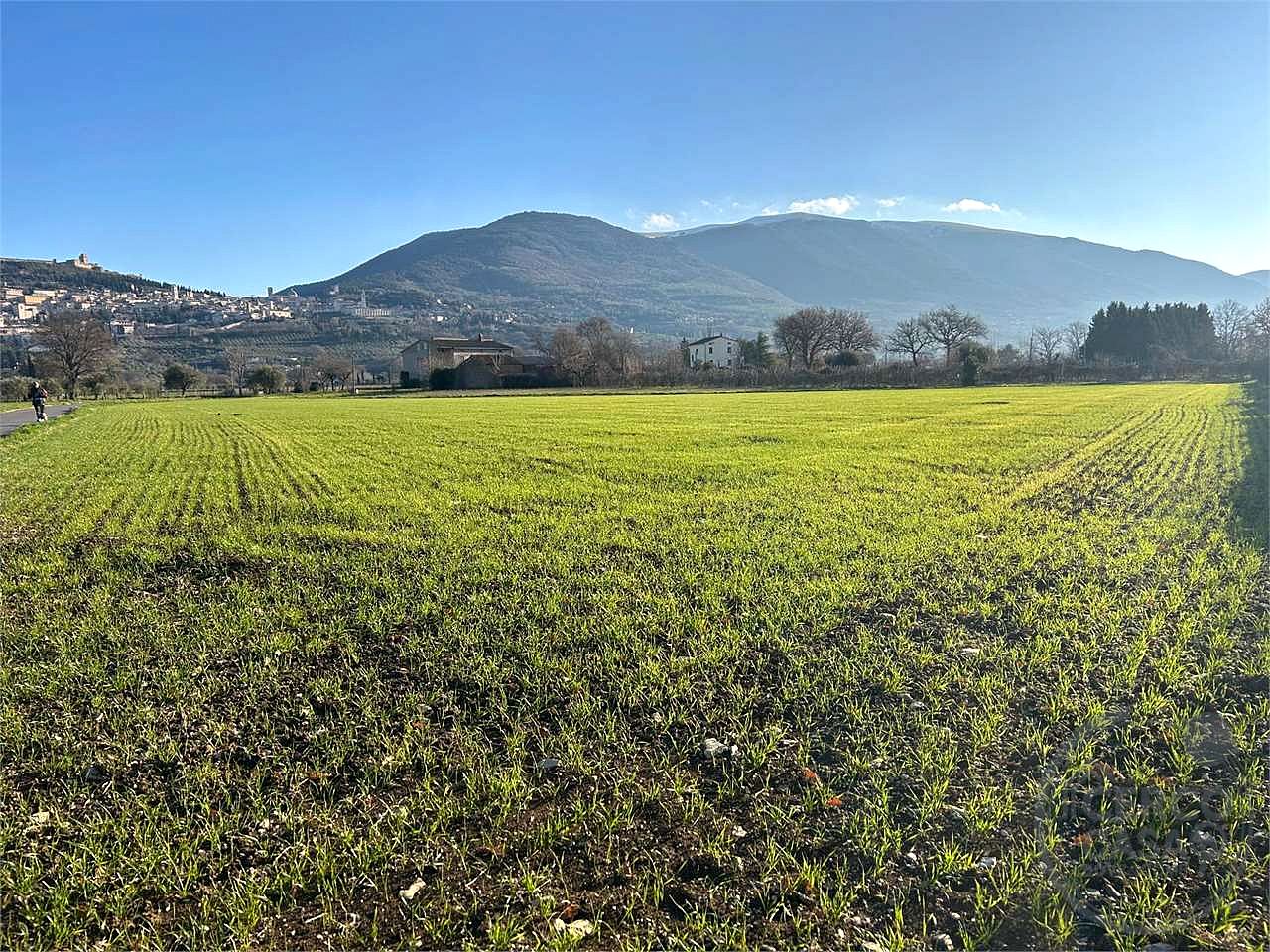 ASSISI - S. M. DEGLI ANGELI:TERRENO AGRICOLO