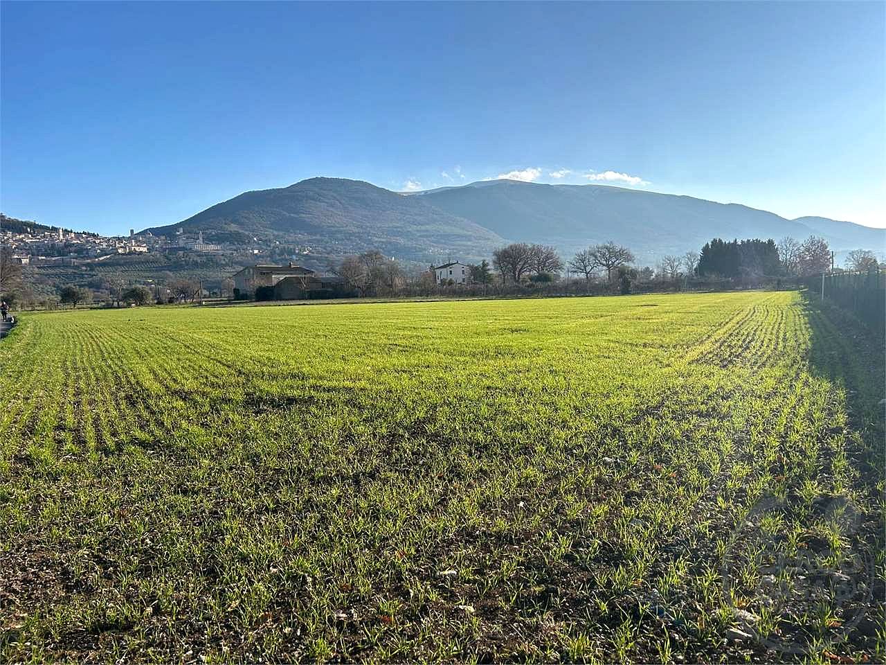 ASSISI - S. M. DEGLI ANGELI:TERRENO AGRICOLO