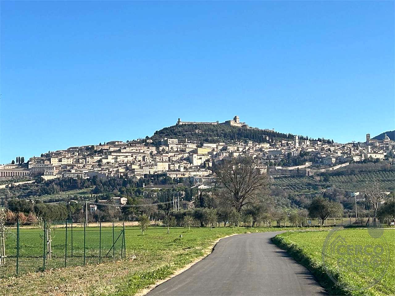 ASSISI - S. M. DEGLI ANGELI:TERRENO AGRICOLO