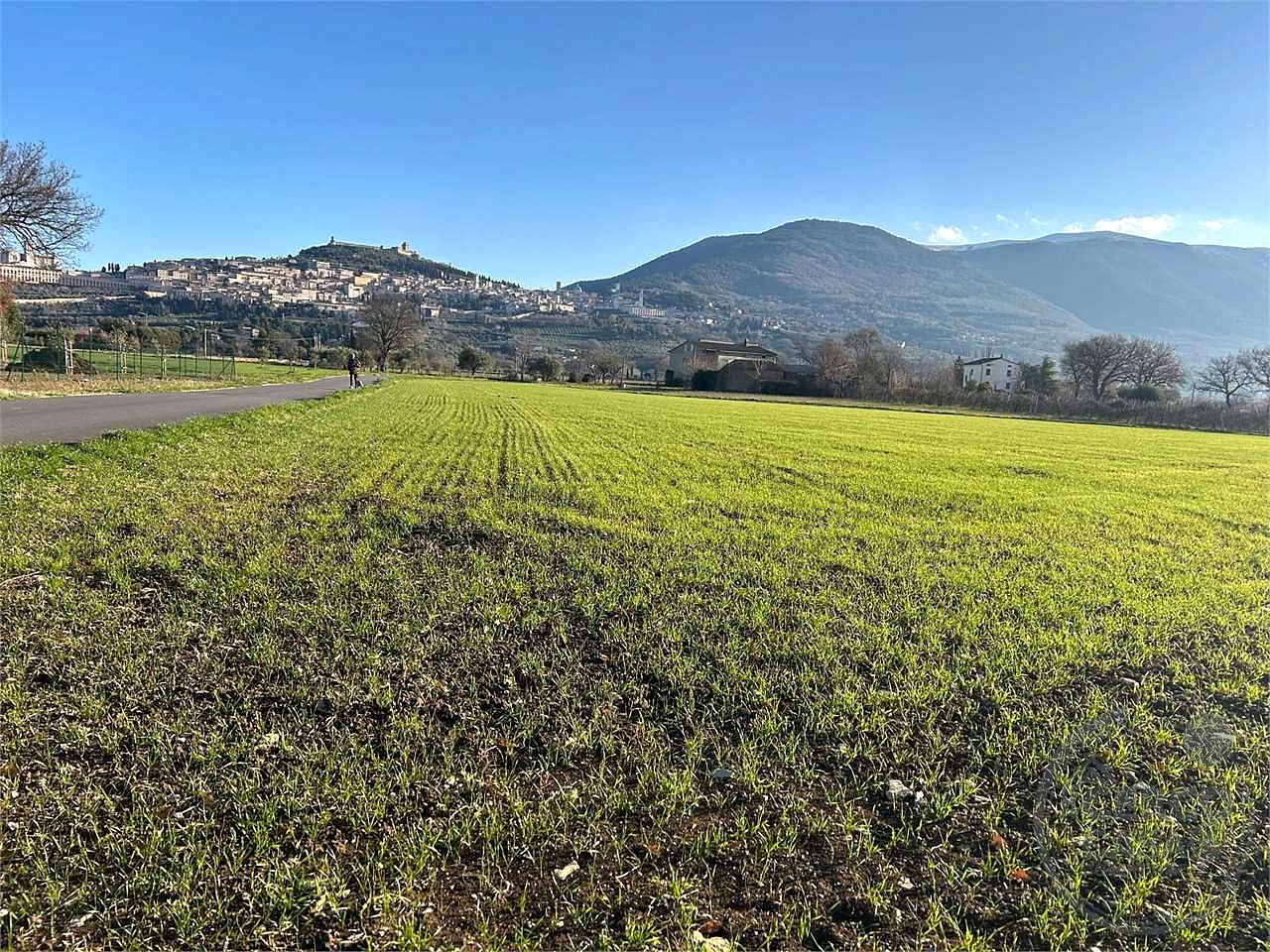 ASSISI - S. M. DEGLI ANGELI:TERRENO AGRICOLO
