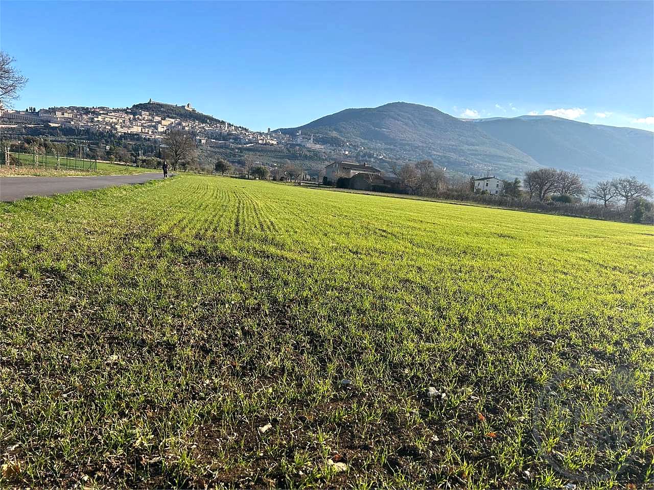ASSISI - S. M. DEGLI ANGELI:TERRENO AGRICOLO