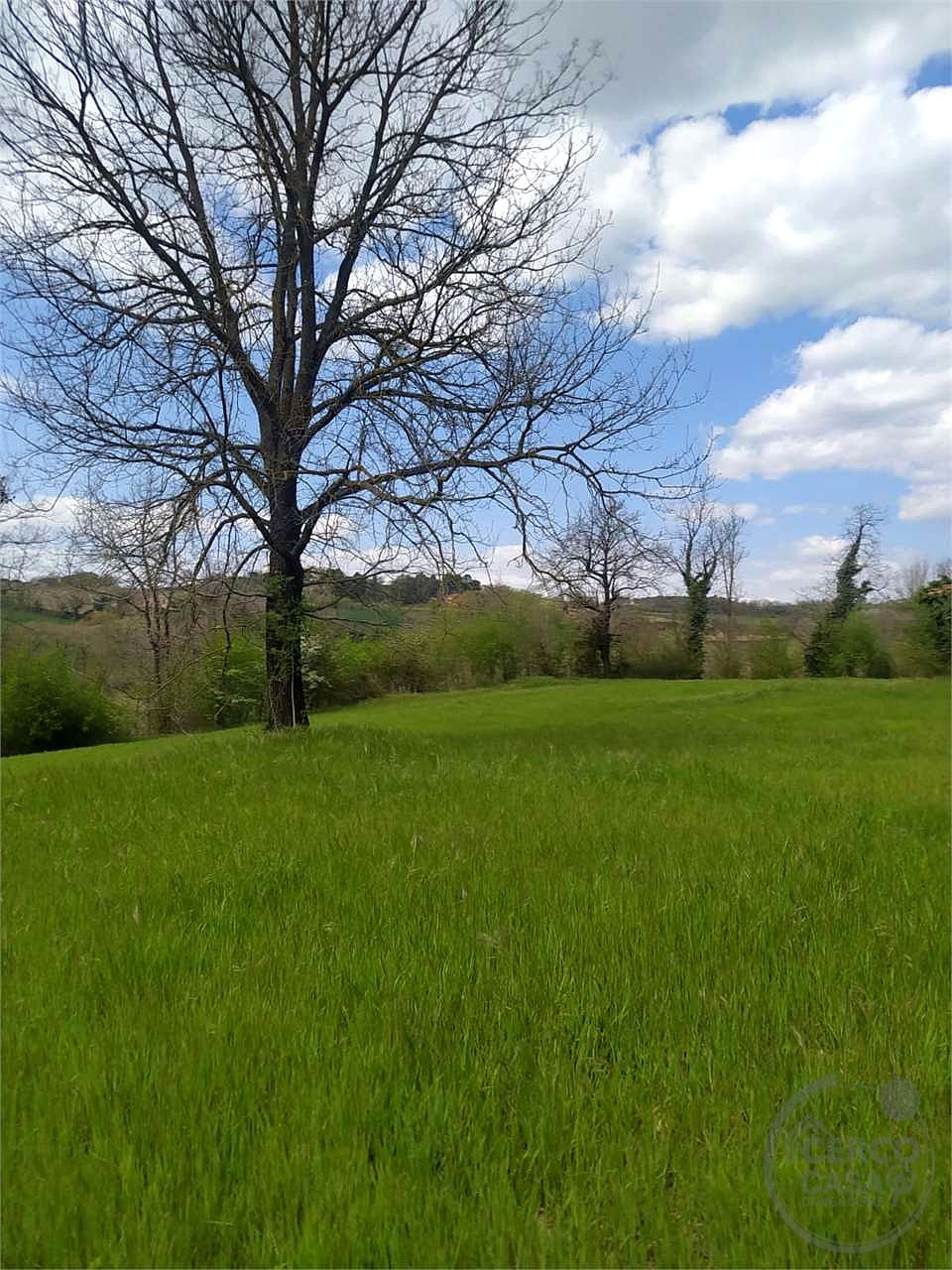CASALE DA RISTRUTTURARE CON TERRENO