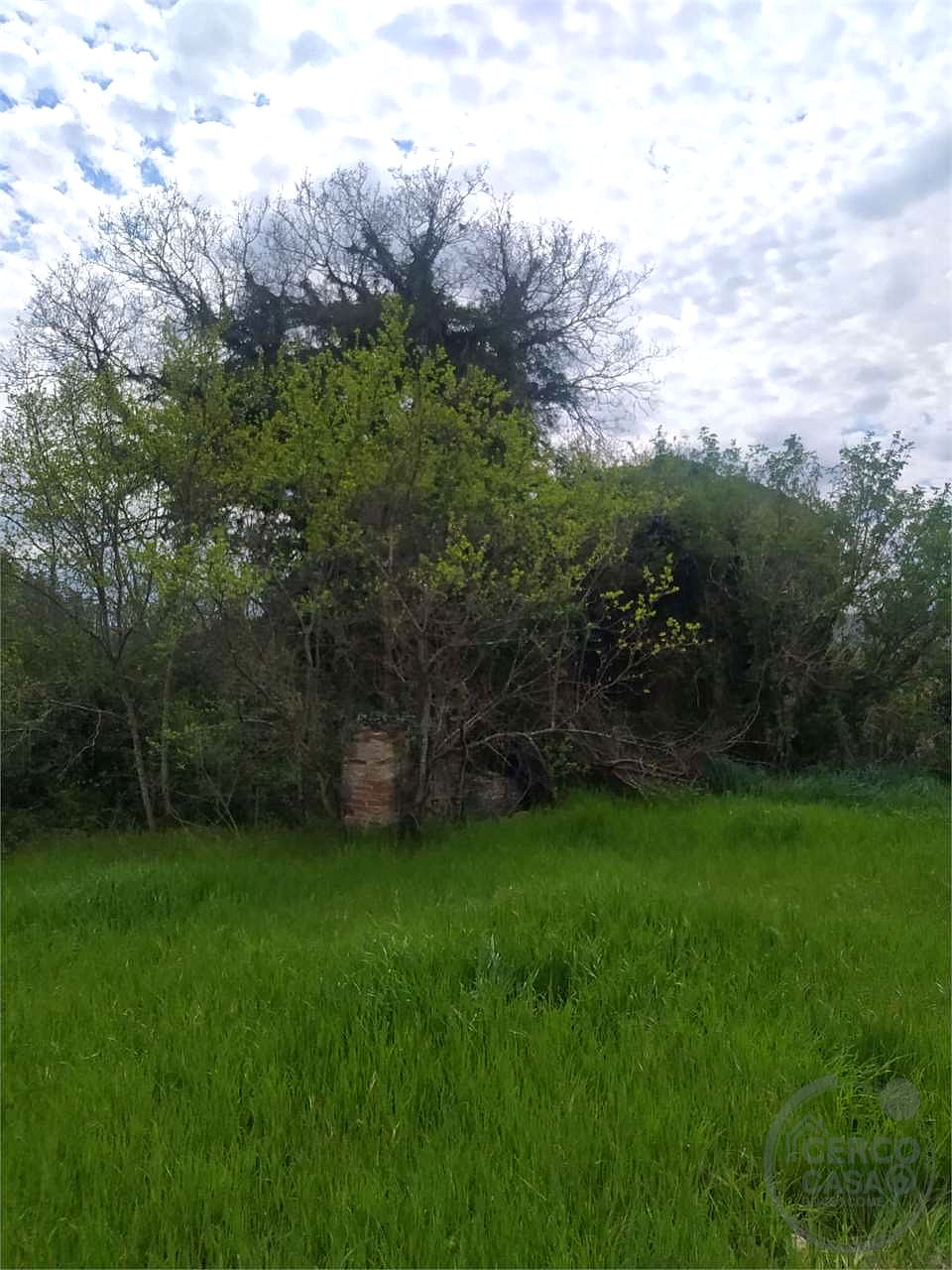 CASALE DA RISTRUTTURARE CON TERRENO