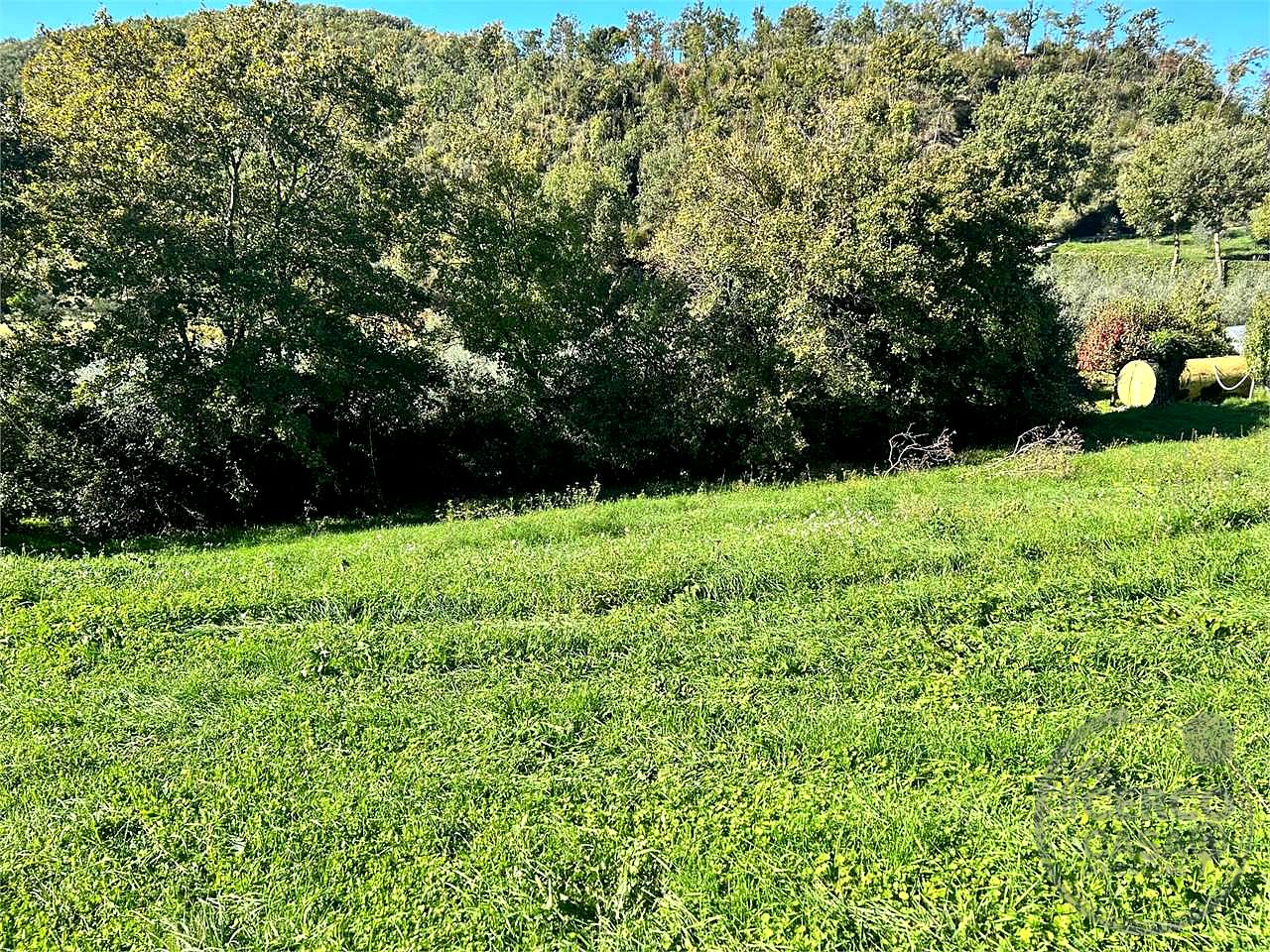 APPARTAMENTO INDIPENDENTE CON GIARDINO ESCLUSIVO