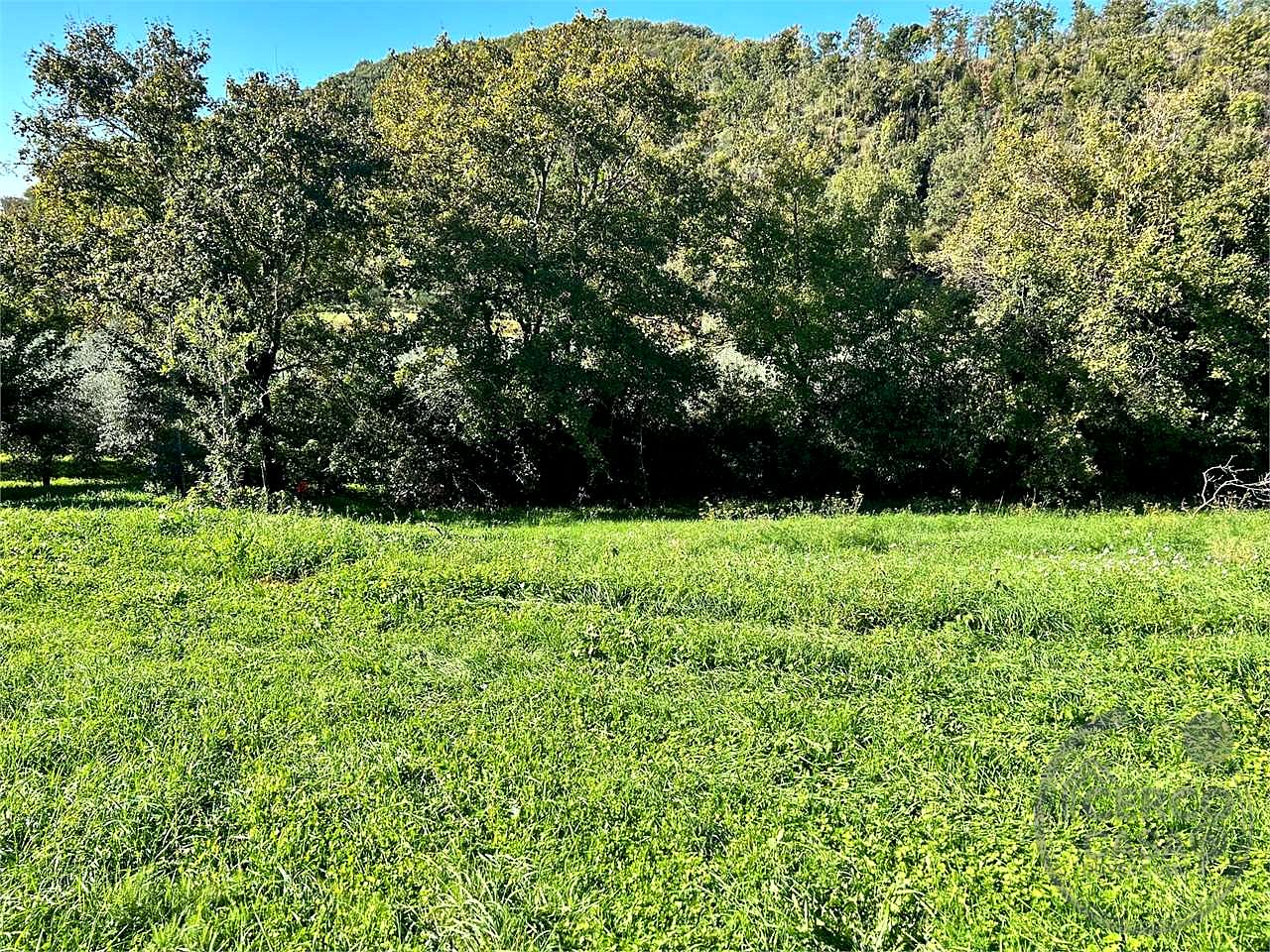 APPARTAMENTO INDIPENDENTE CON GIARDINO ESCLUSIVO