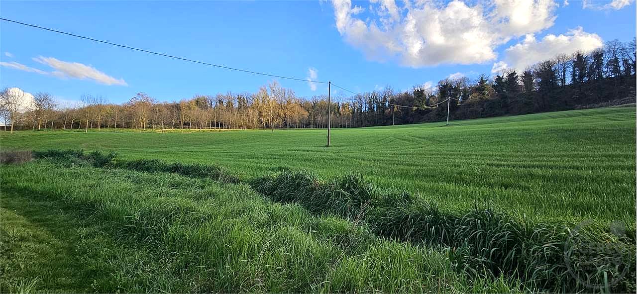 TODI: AZIENDA AGRICOLA