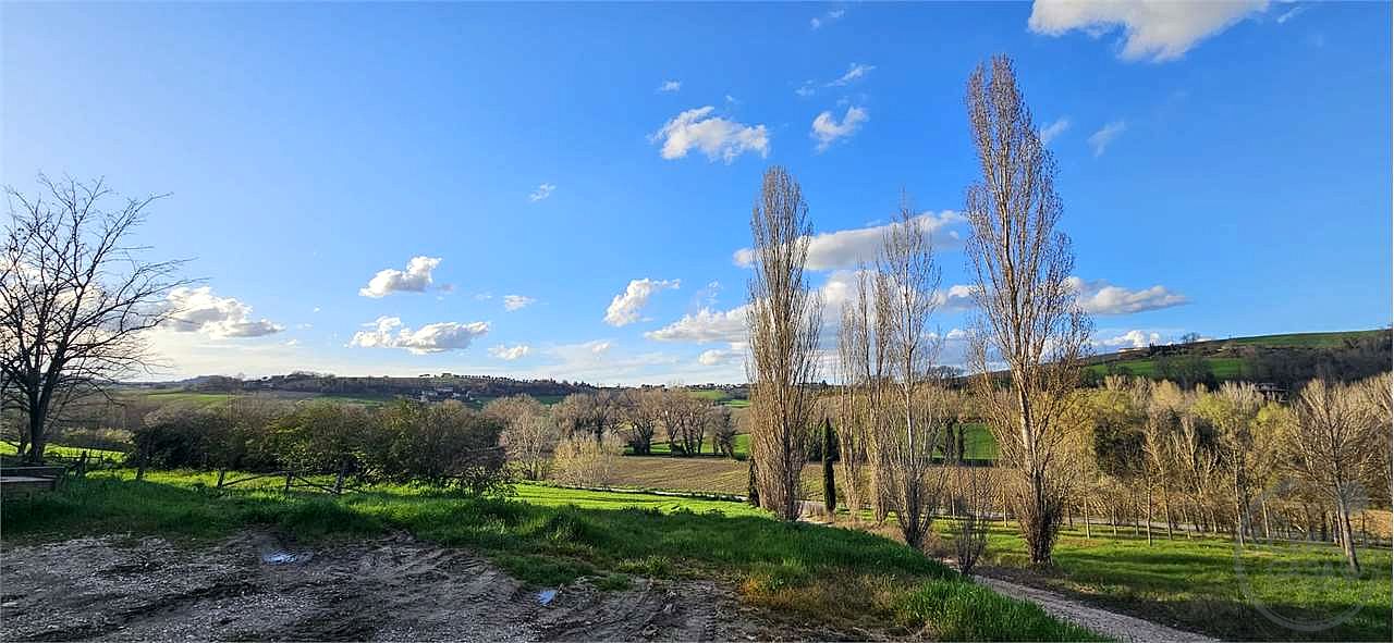TODI: AZIENDA AGRICOLA
