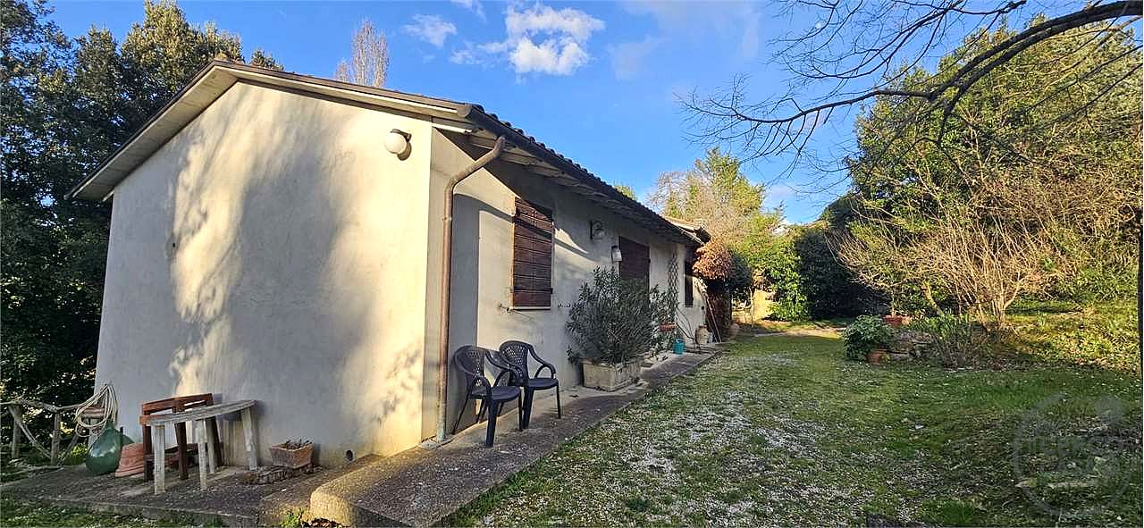 TODI: AZIENDA AGRICOLA