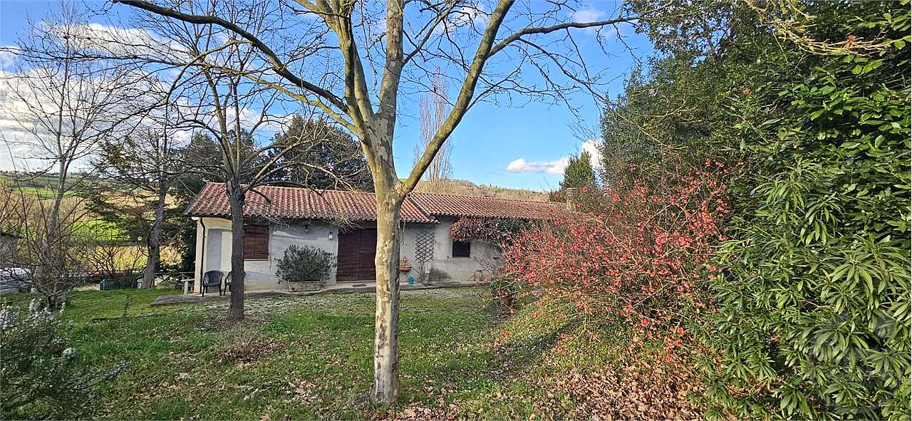 TODI: AZIENDA AGRICOLA