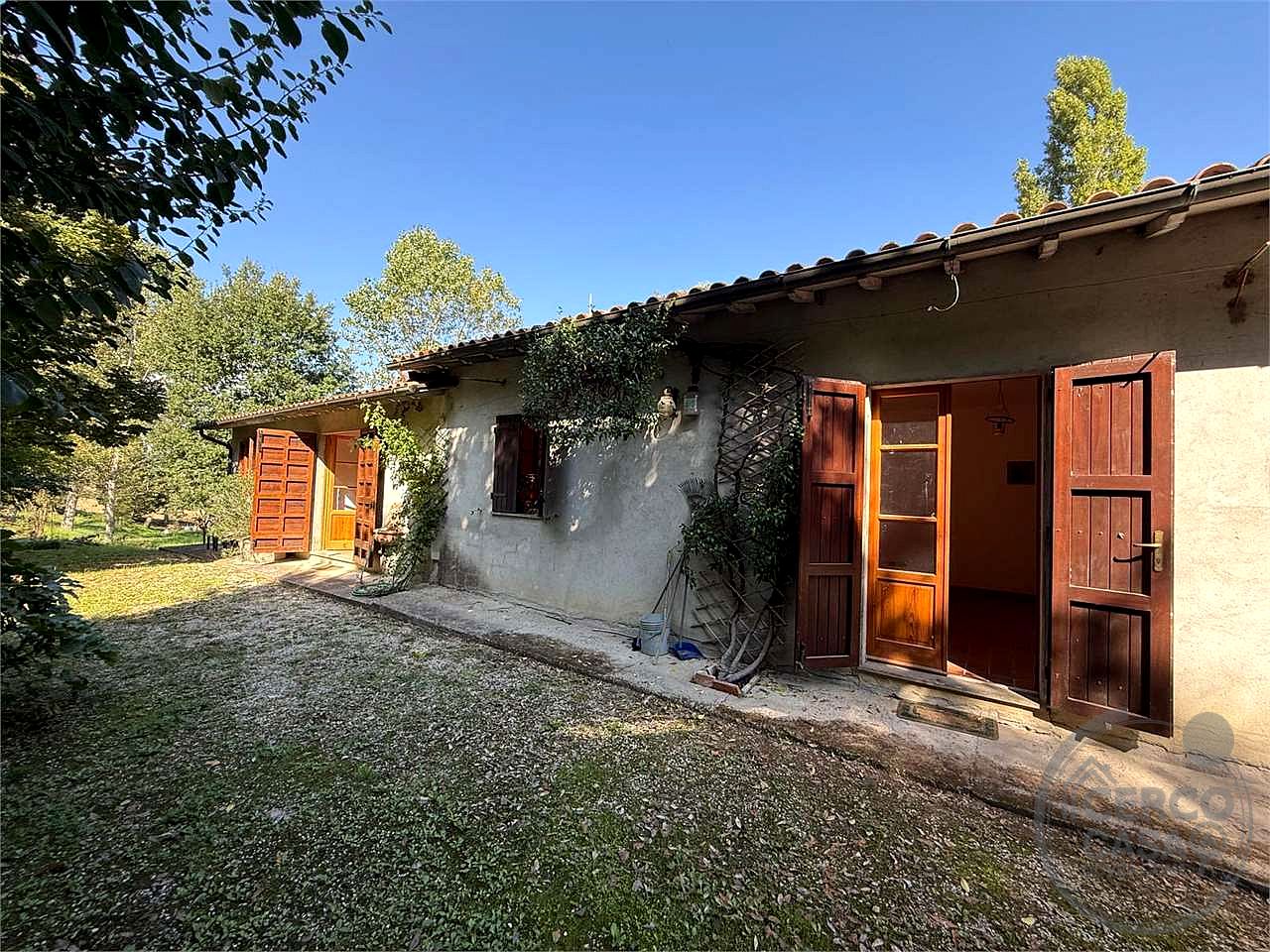 TODI: AZIENDA AGRICOLA