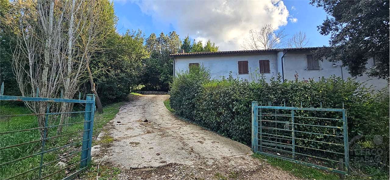 TODI: AZIENDA AGRICOLA
