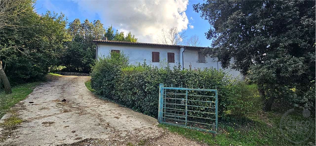 TODI: AZIENDA AGRICOLA