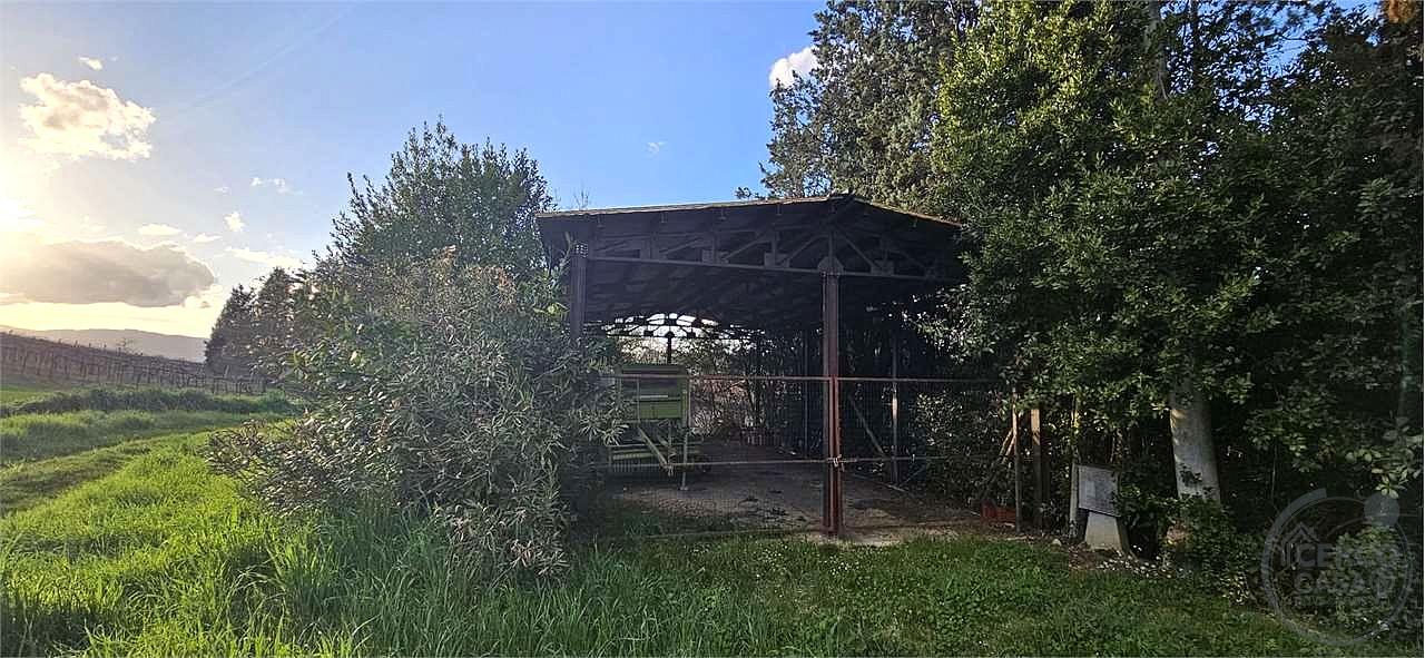 TODI: AZIENDA AGRICOLA
