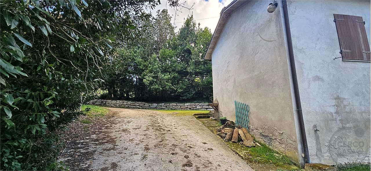 TODI: AZIENDA AGRICOLA