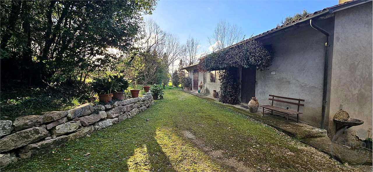 TODI: AZIENDA AGRICOLA