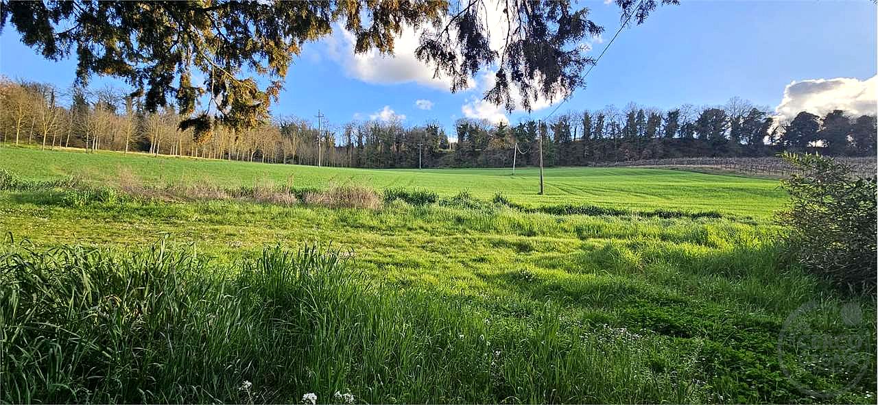TODI: AZIENDA AGRICOLA