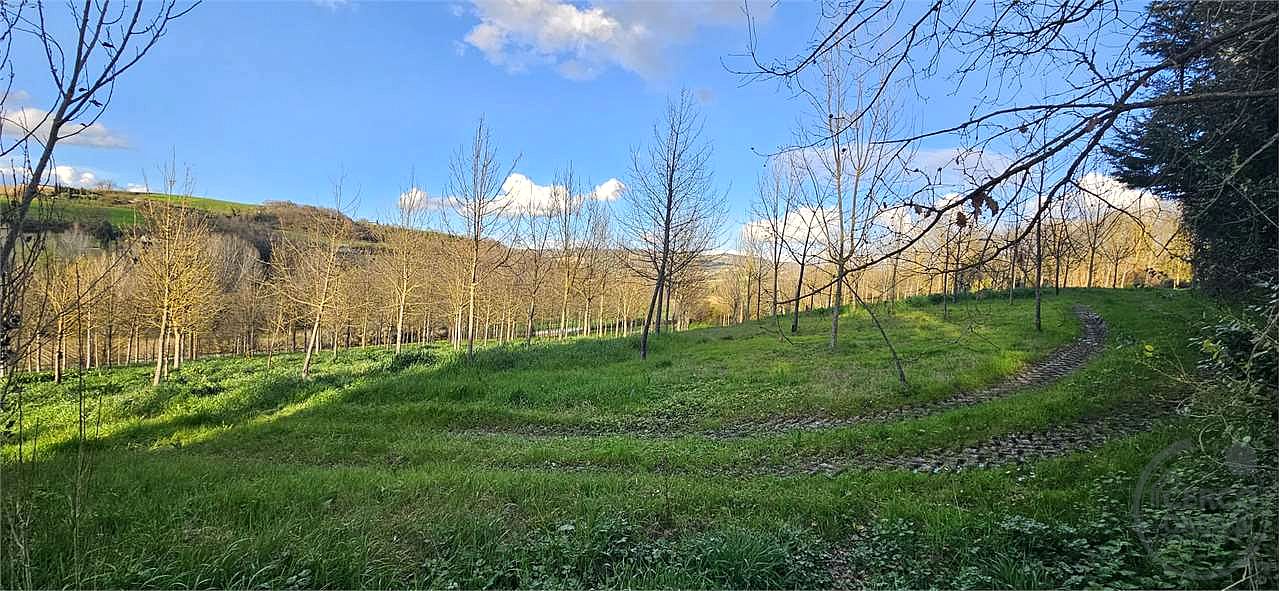 TODI: AZIENDA AGRICOLA