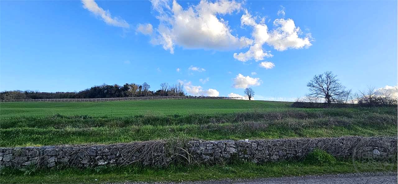 TODI: AZIENDA AGRICOLA