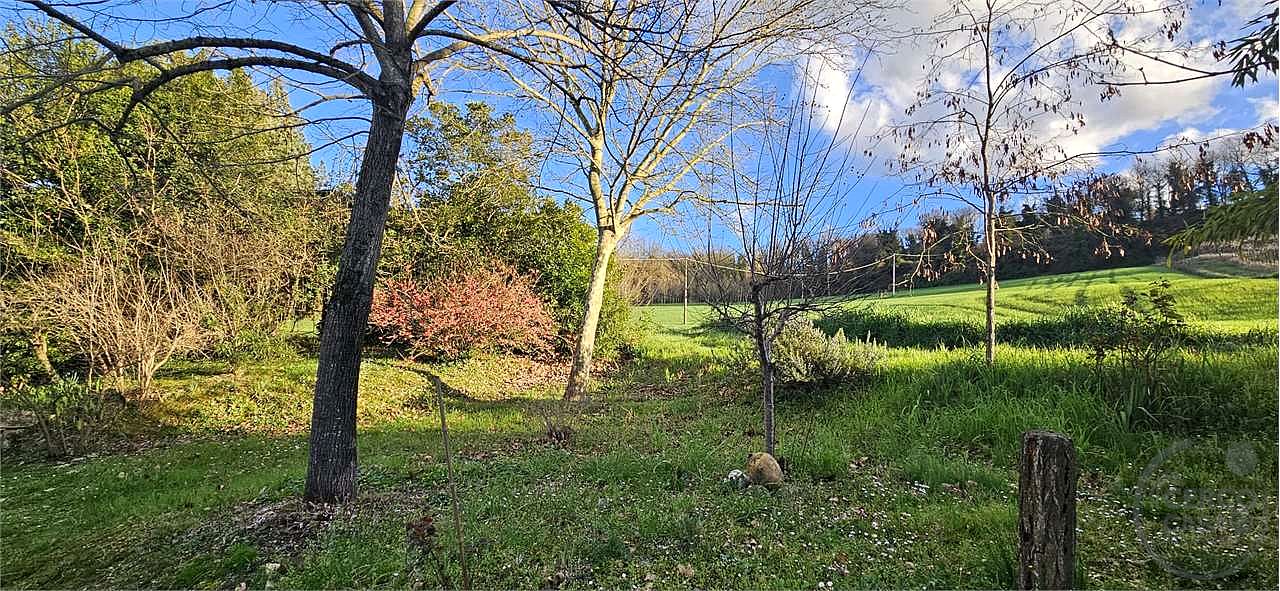 TODI: AZIENDA AGRICOLA