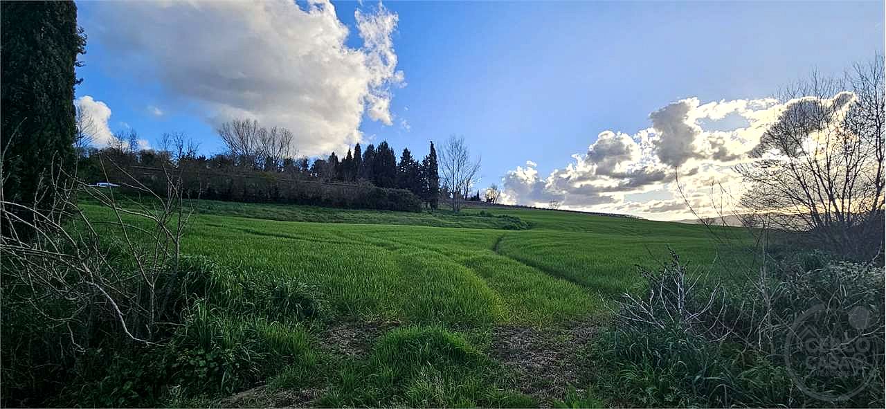 TODI: AZIENDA AGRICOLA