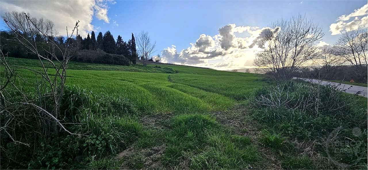 TODI: AZIENDA AGRICOLA