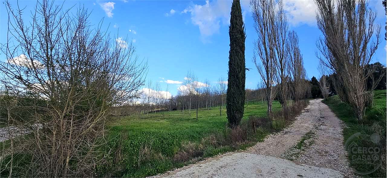 TODI: AZIENDA AGRICOLA