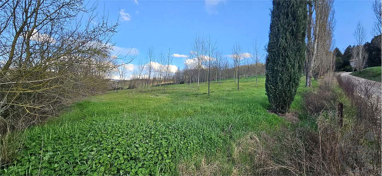 TODI: AZIENDA AGRICOLA