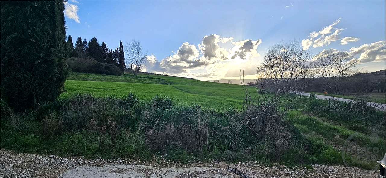 TODI: AZIENDA AGRICOLA
