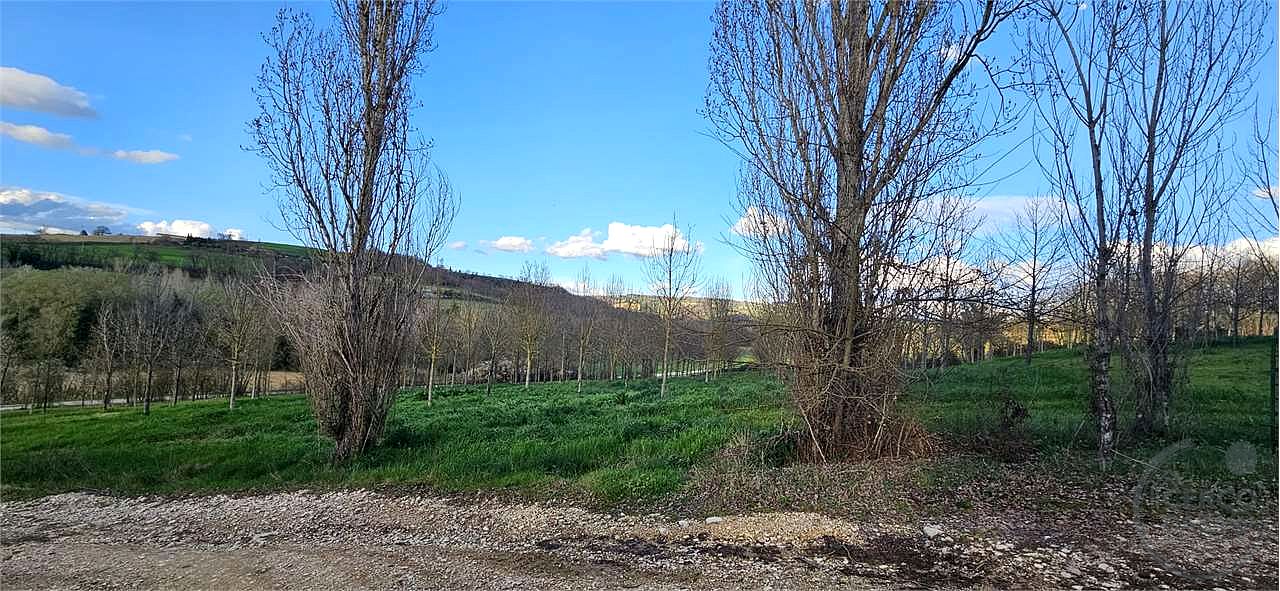TODI: AZIENDA AGRICOLA