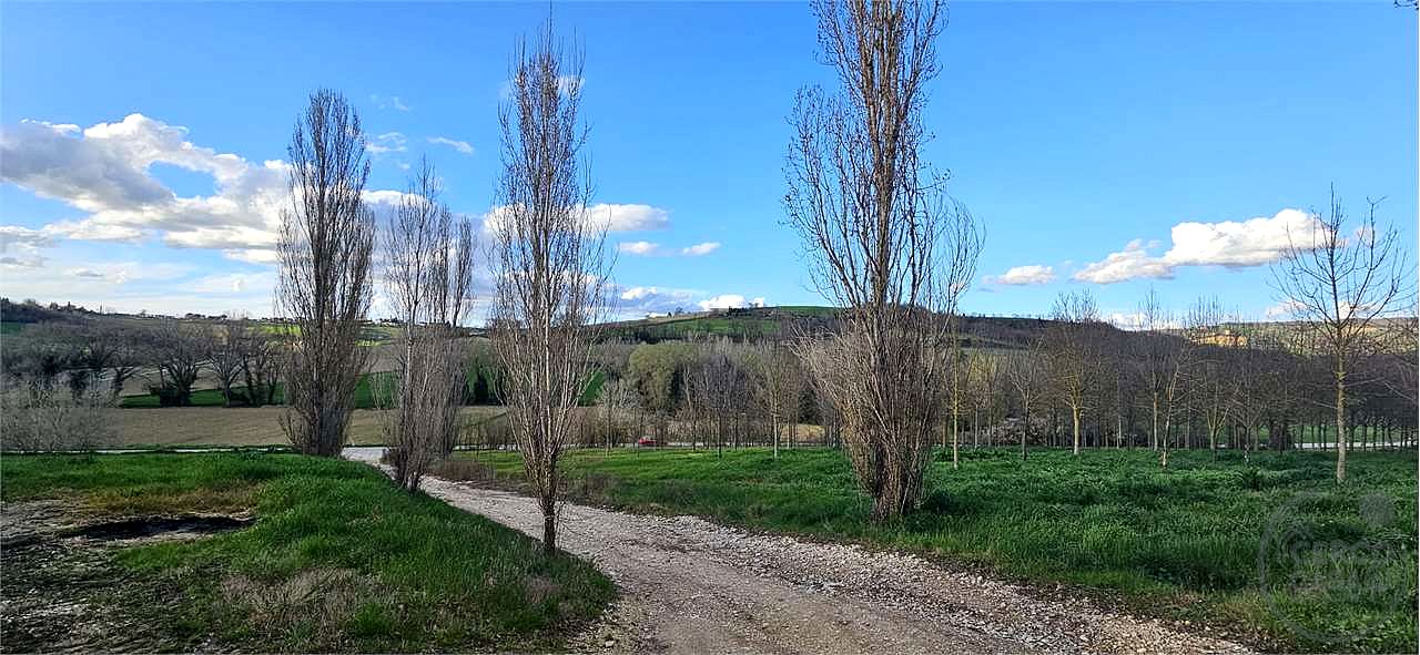 TODI: AZIENDA AGRICOLA