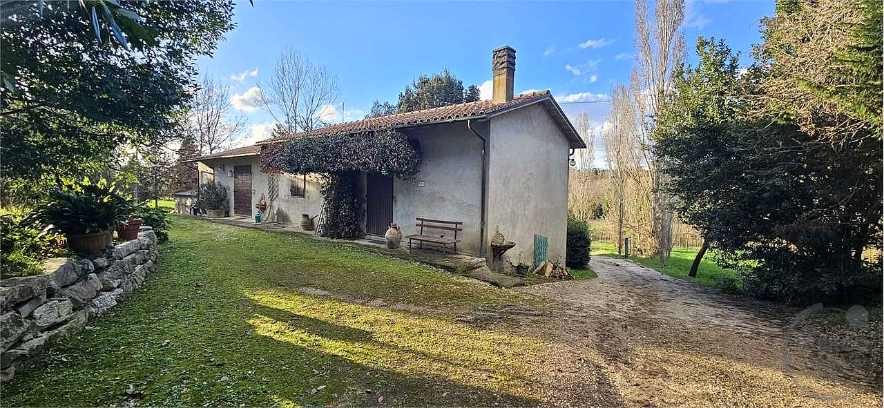 TODI: AZIENDA AGRICOLA