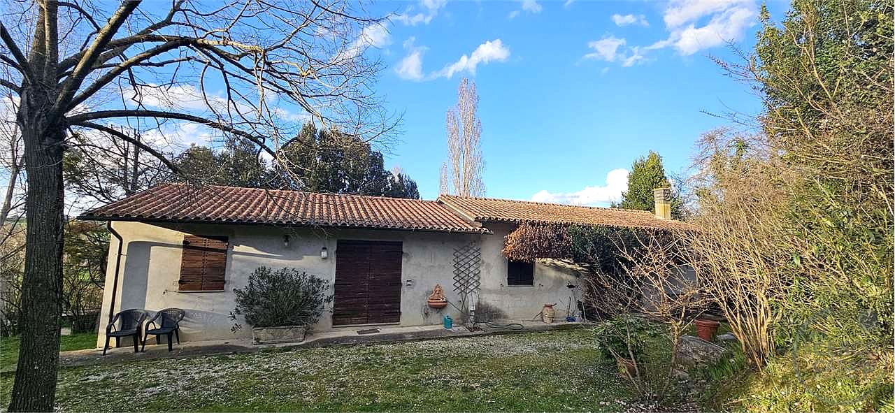 TODI: AZIENDA AGRICOLA