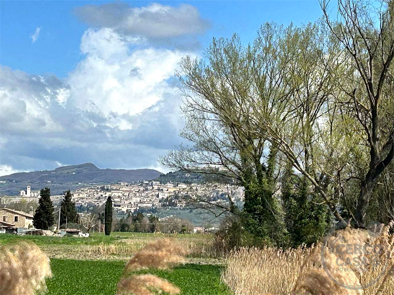 ASSISI - CASTELNUOVO - TERRENO AGRICOLO