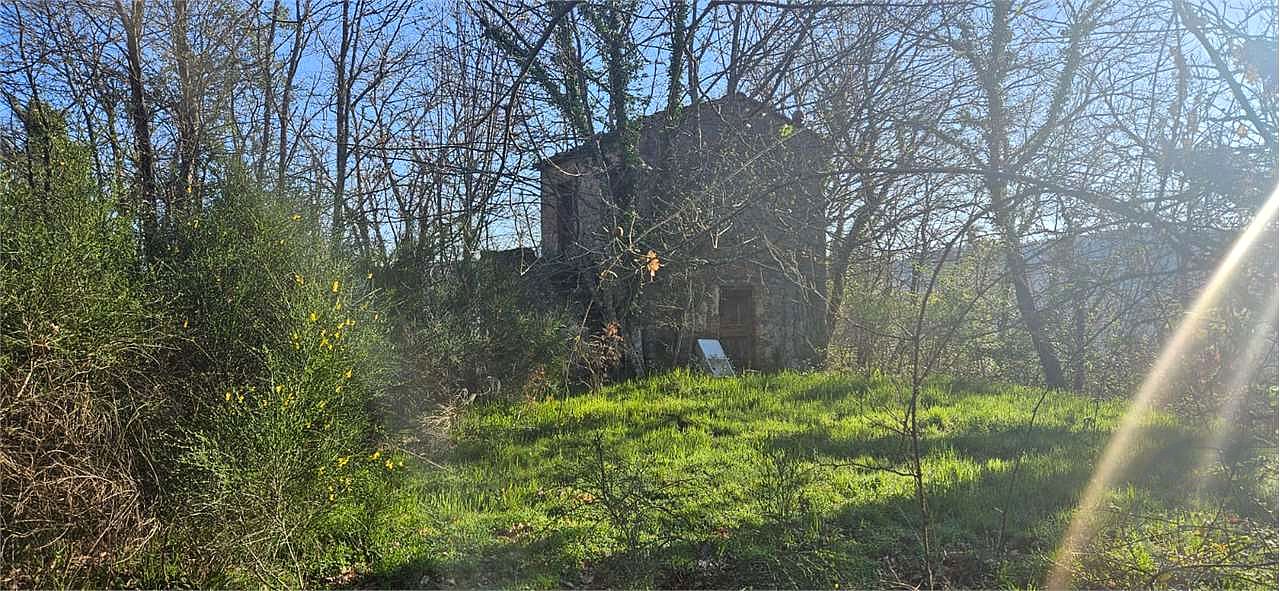 ROCCASTRADA - TORNIELLA: RUDERI CON TERRENO