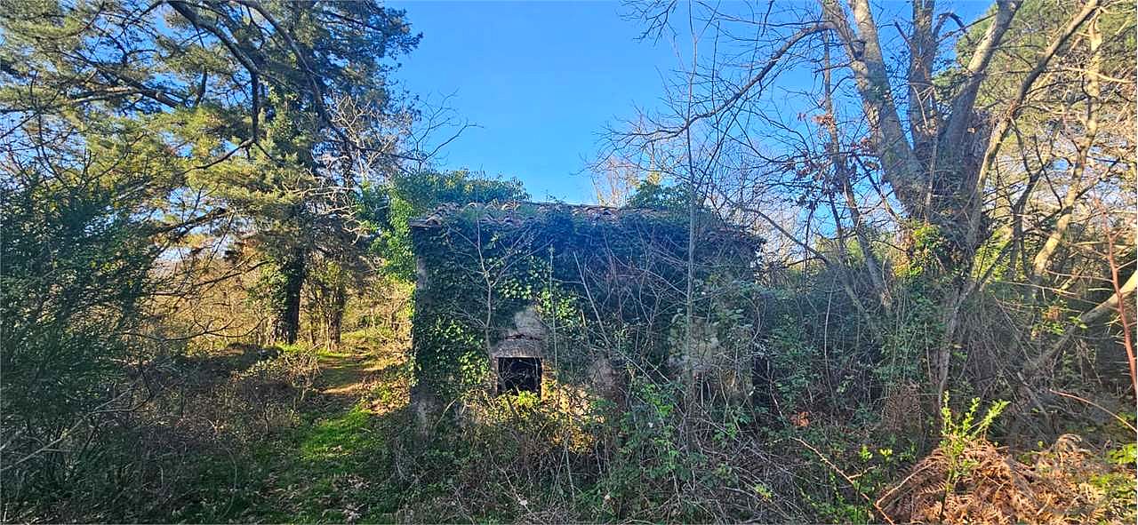 ROCCASTRADA - TORNIELLA: RUDERI CON TERRENO